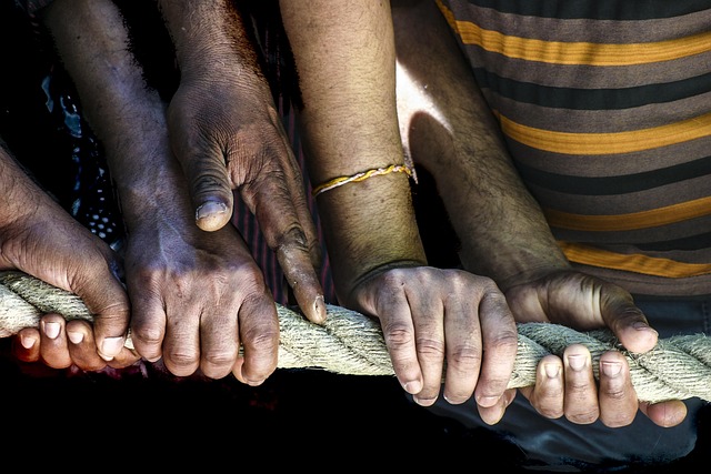 Céline Martin (CJMM), People, Pixabay.com